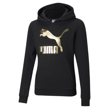 SUDADERO CLASSICS LOGO HOODIE G
