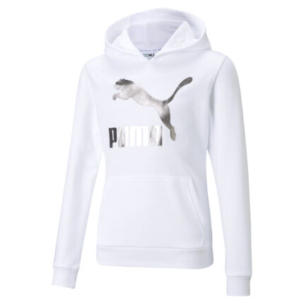 SUDADERO CLASSICS LOGO HOODIE G