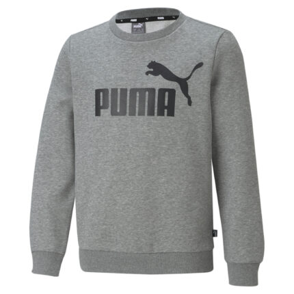 SUETER ESS BIG LOGO CREW TR B