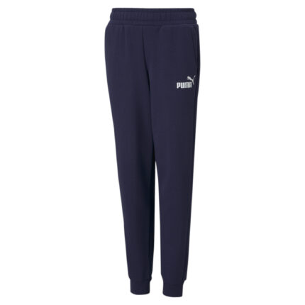 PANTS ESS LOGO PANTS TR CL B
