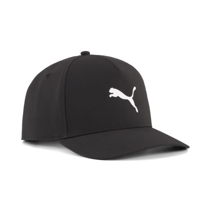 GORRA PROWLER CAP
